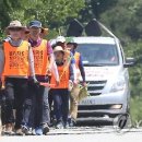 조치원_고용노동부 이미지