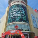 호평마트약국 | [베트남 다낭] 다낭 롯데마트에서 사기 좋은 먹거리 및 다낭 기념품 추천!