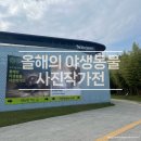 부산 사진전 영국 국립 자연사 박물관 특별전 “올해의 야생동물 사진작가전” 부산 F1964