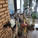 썸데이 게스트하우스 이미지