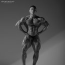 아세로짐 이미지