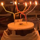 드림마이닝(주) | 3월생은 사랑스럽습니다