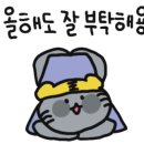 명품손칼국수 - 천안시 동남구 통정5로 8 | 명품손칼국수