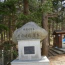 방아다리 이미지