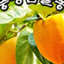 작점로 이미지