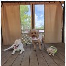 시화유치원 이미지