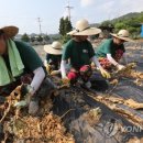 성암리 마을회관 이미지