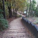 서오릉로 이미지