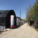 강씨농장 이미지