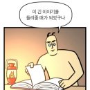 씨티퍼피 | [신불당 애견미용] 우드퍼피 솔직방문 후기