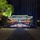 진주로(R+L) | 올가을 축제 종결! 전국 미디어아트 명소 8곳 완벽 가이드 (컨셉, 주제, 일정, 꿀팁)