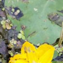 오륙도초등학교 이미지