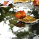 깊은골천 이미지