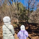 앙볼리펫살롱 이미지