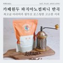 사라(SARA)컴퍼니