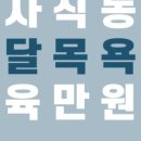 올리브네 펫살롱 이미지