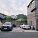돈 생선 밥상