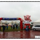 한림종합운동장 이미지