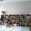 하이오동