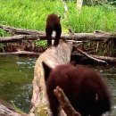 순플레이스 이미지