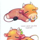 제이의 잡화점