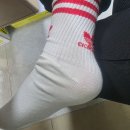 다모아푸드 | [일상] 벚꽃놀이 좋지만, 니가 더 좋아..아프니깐 할매다_직장인일상 직장인일기 강아지일상 우리개최고...