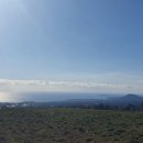 진하목장 이미지