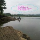 보성강6 이미지