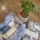 Dr.아이린표 쿨여름 명품천연자연주의 EGF + 구아이줄렌 푸딩수딩크림 (리얼후기♥)(내돈내산! 협찬x)