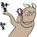 에코홈케어 이미지