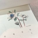 2025 신년 새해선물추천 , 가을상점 우리말 수제달력
