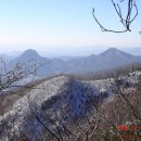 월악농장 이미지