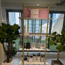 [서면/전포 더 힐즈 헤어살롱] 모발클리닉 받고 온 후기