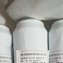 소유뱅갈캐터리 이미지