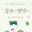 뉴코리아극장 이미지