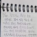 숲속댕토리애견유치원 이미지