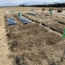 흥동 농장 이미지