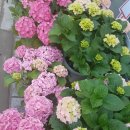 미사박사공인중개사사무소 이미지