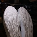 도그 에이스 이미지