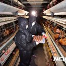 윤정희농장 이미지