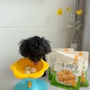 동그랑댕 이미지