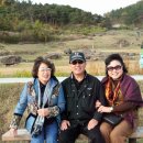 성경연 Daum카페