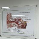 독일보청기 태평센터 이미지