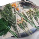 꽃이랑개랑 | 웨딩부케 셀프제작 남대문 꽃 시장 방문 후기, 가격 꿀팁