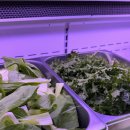 온담제주 이미지