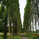 모스가든 이미지