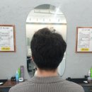 젠틀엠(M)헤어 이미지