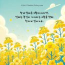 실버간호주간보호센타 이미지