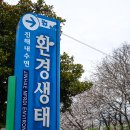 진해 가볼만한곳 내수면 환경생태공원 여좌천 경남 벚꽃명소 임지교
