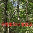심봤다약초